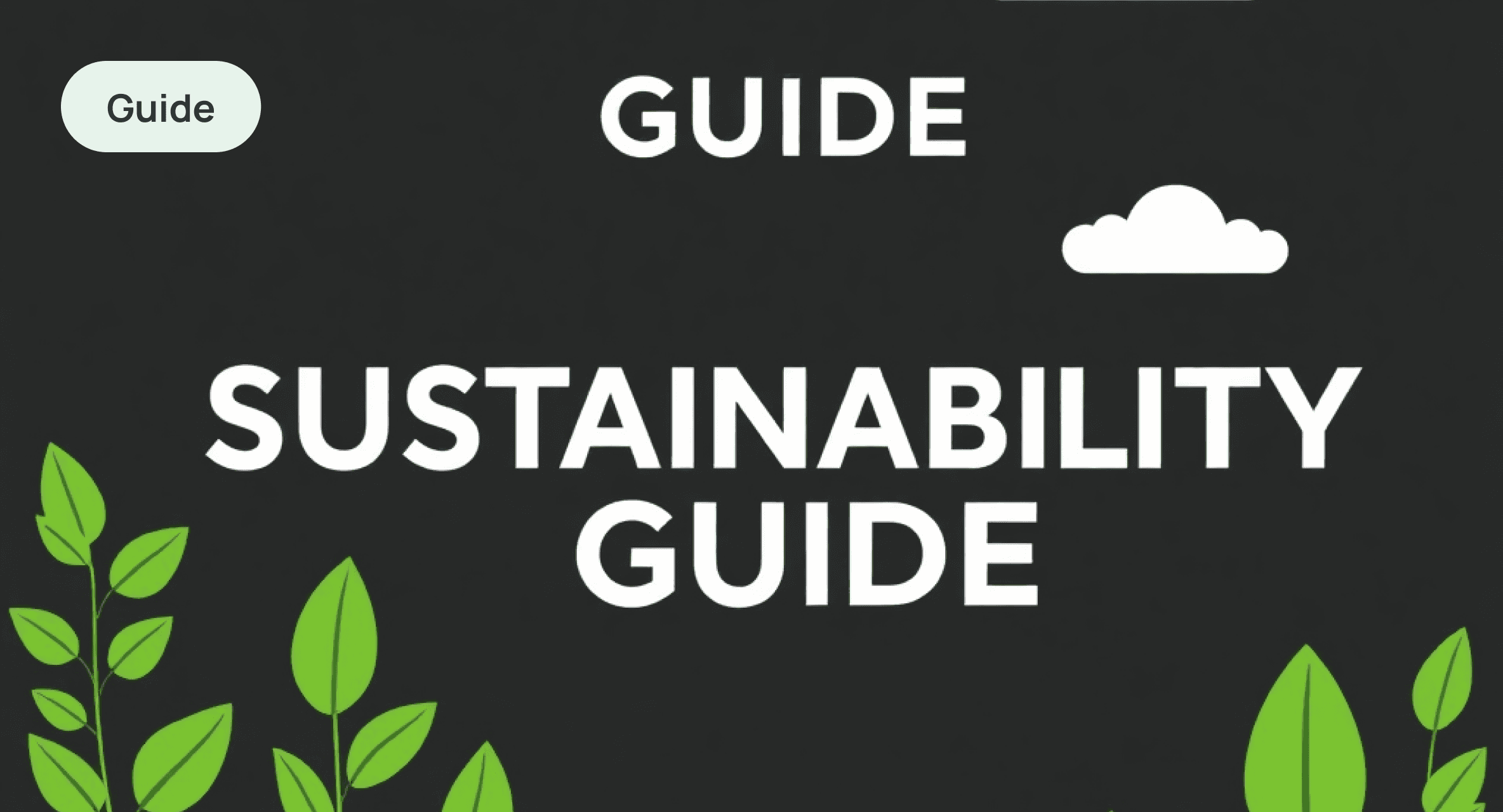 Your Guide to Product Carbon Footprints